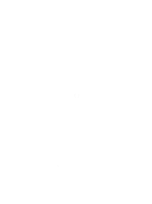 Dutch Gems Website